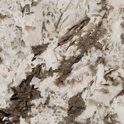 Granite bianco antico granite