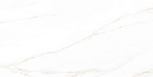 Stile Porcelain Slabs calacatta corrinna porcelain